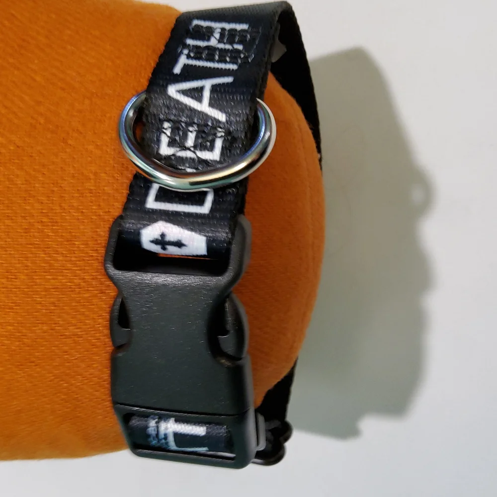 Buckle-Down 9in new