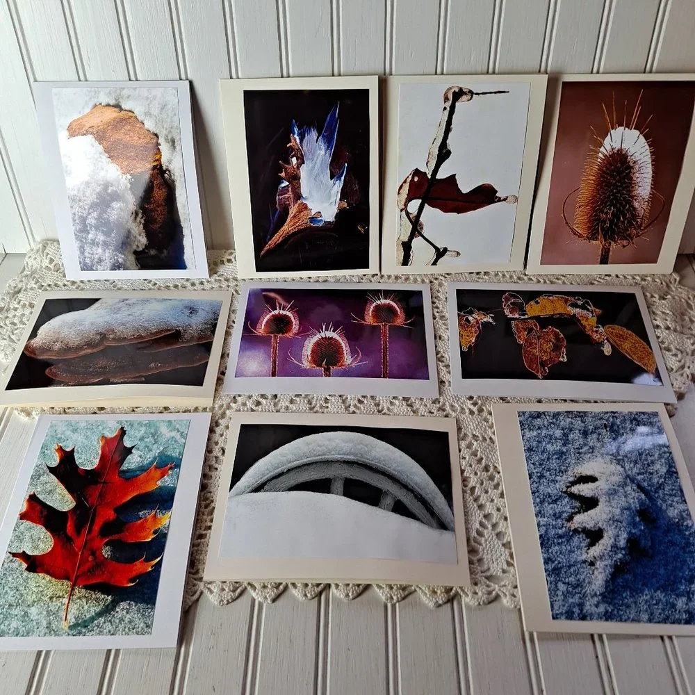 10 Original Photographs All Occasion Greeting Cards