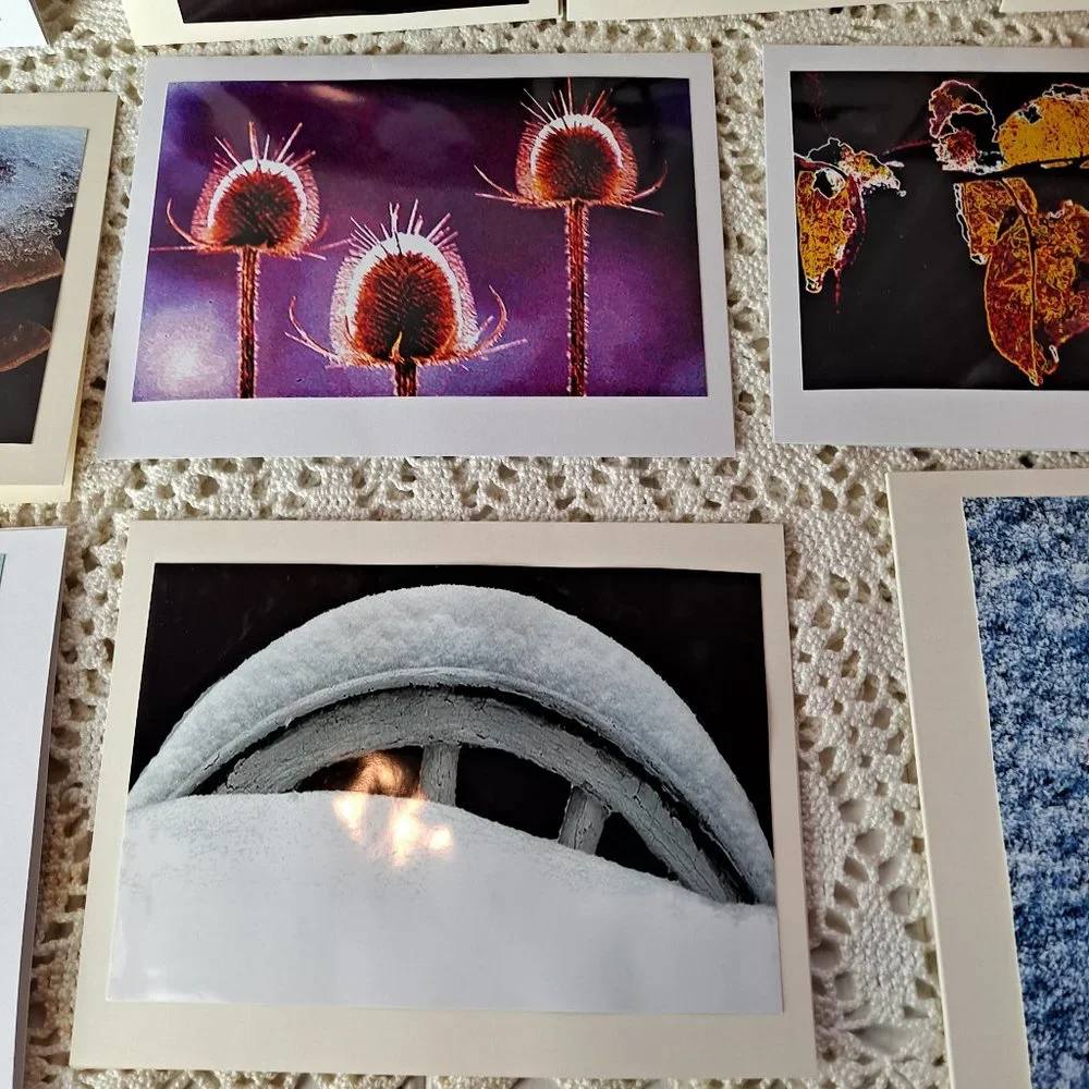 Original Photographs 10 original