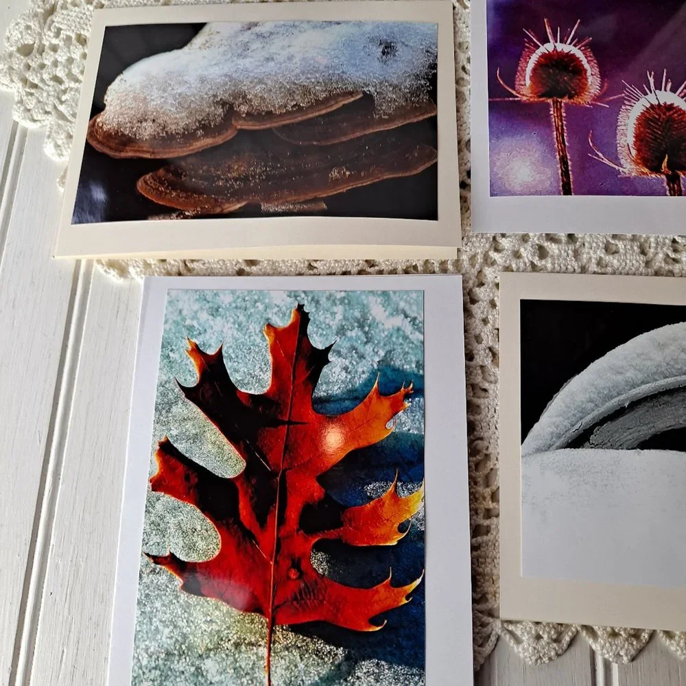Original Photographs 10 original