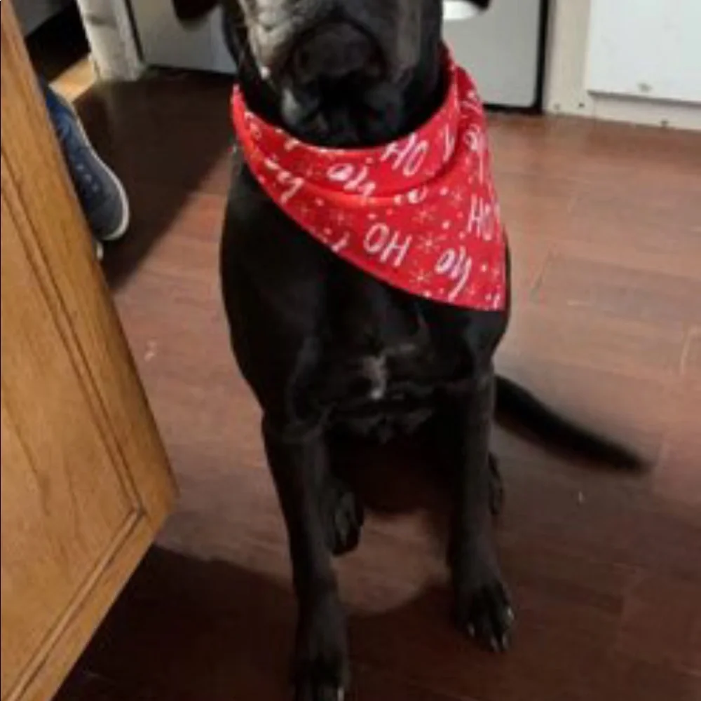 N/A ho bandana