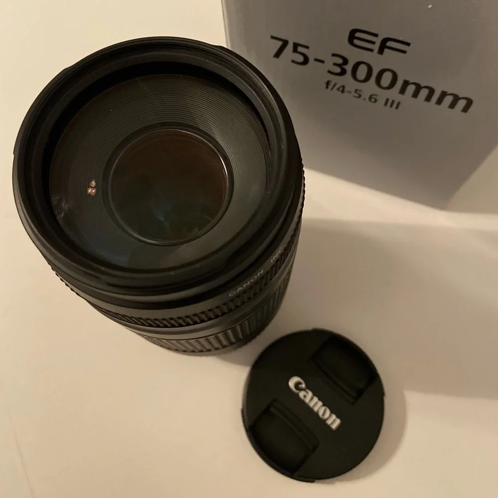 Canon EF 75-300mm f/4-5.6 lens