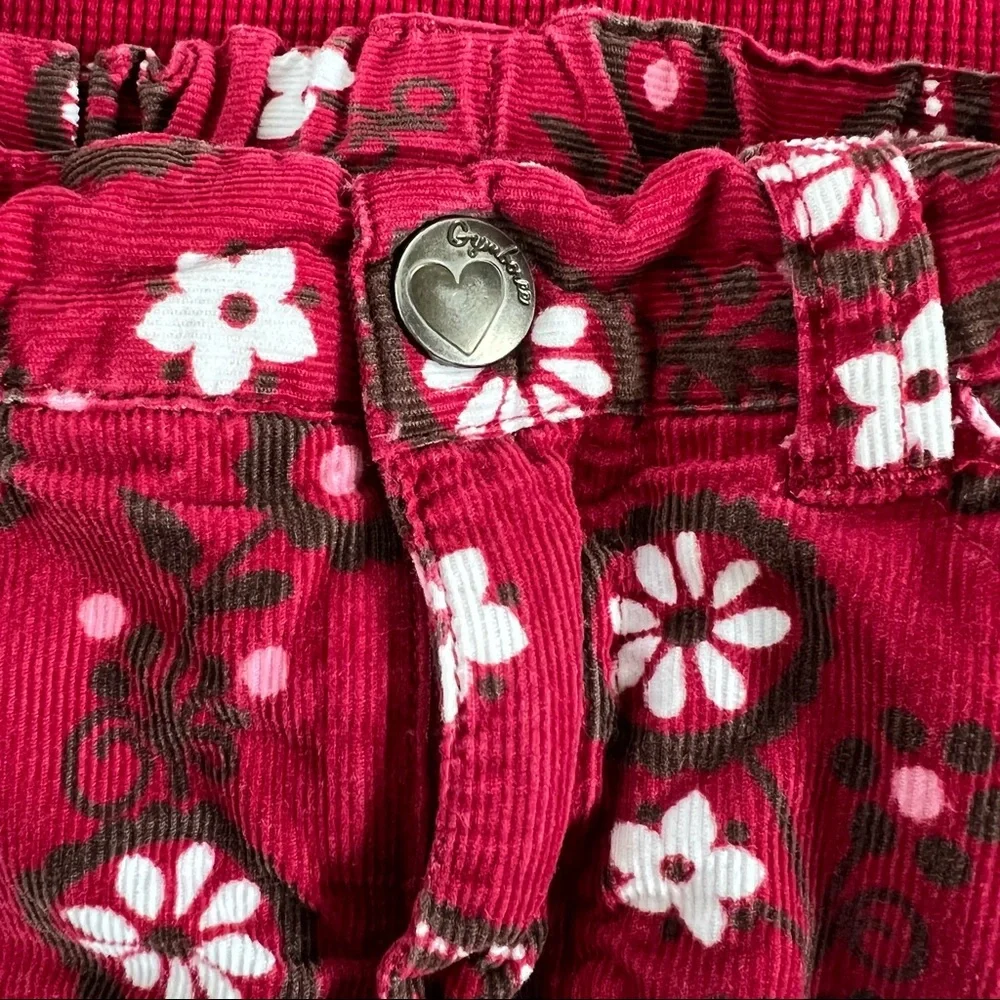 Gymboree shirt skirt