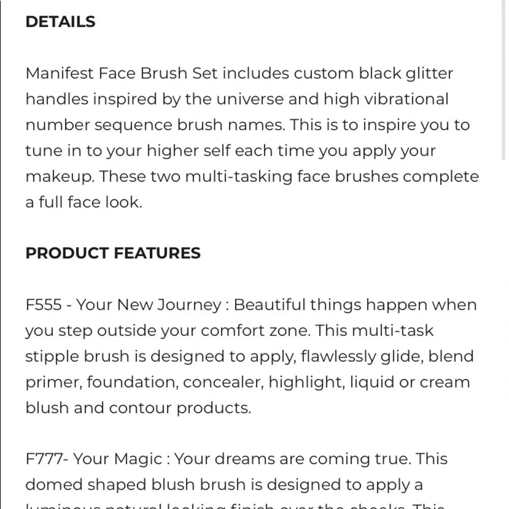 MOTD brush set