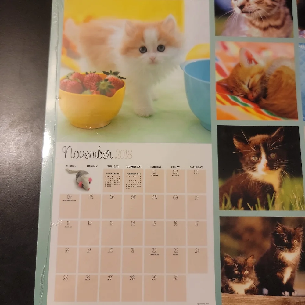 2018 Kittens Calendar