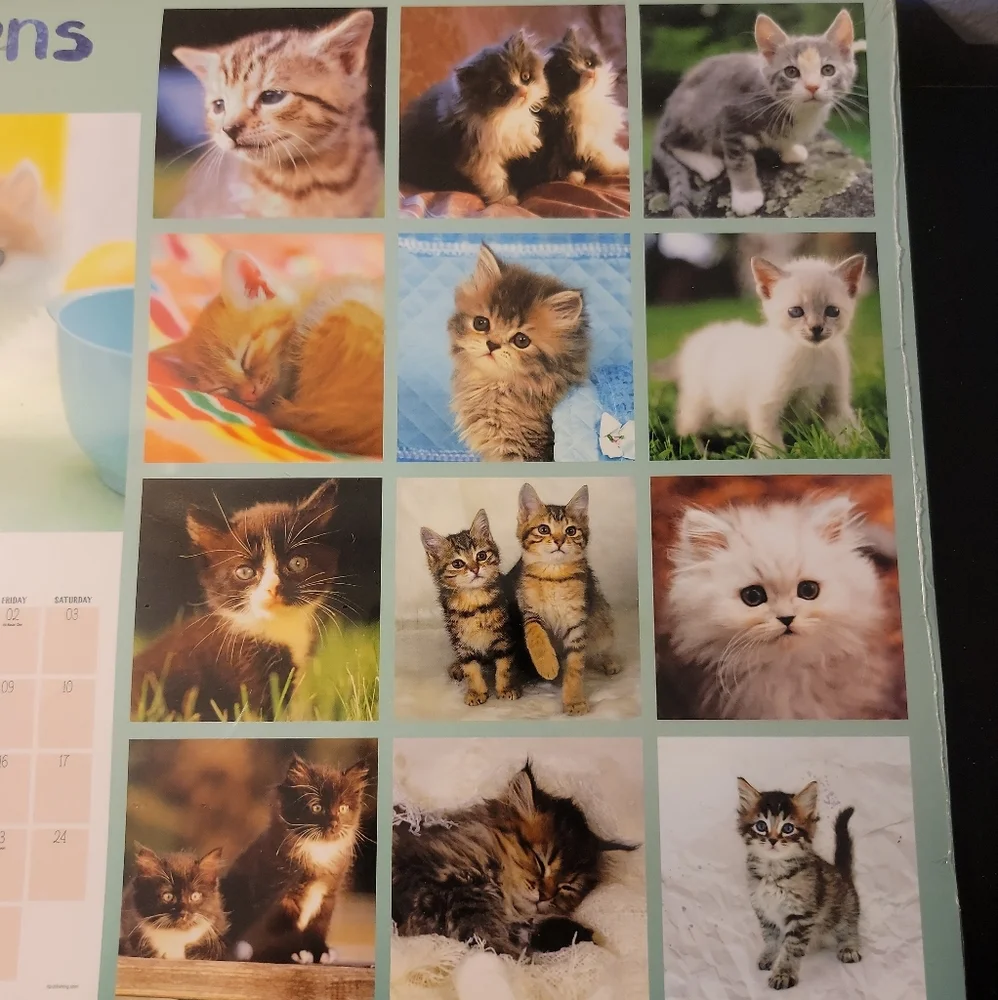 2018 Kittens Calendar