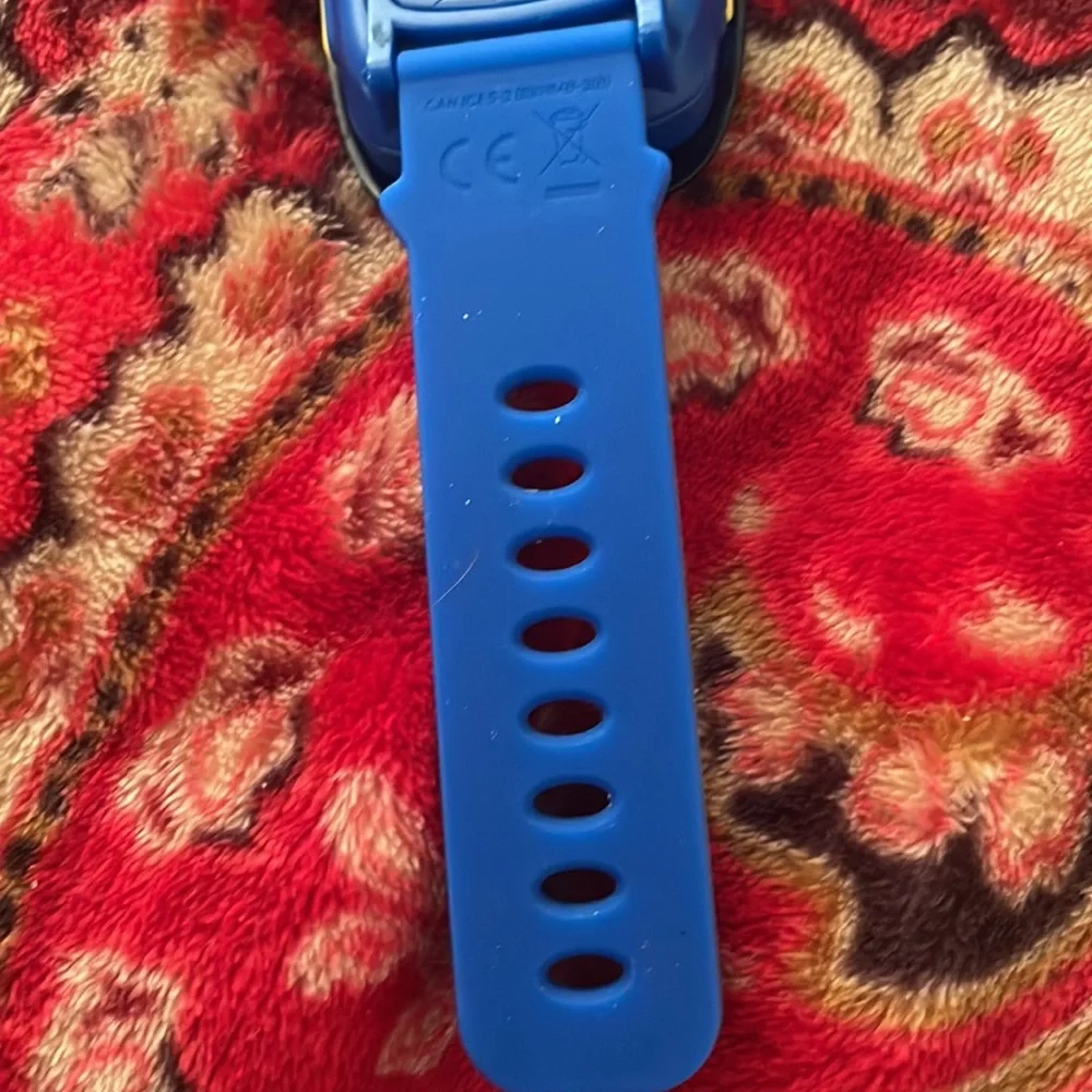 Paw Patrol questions leave