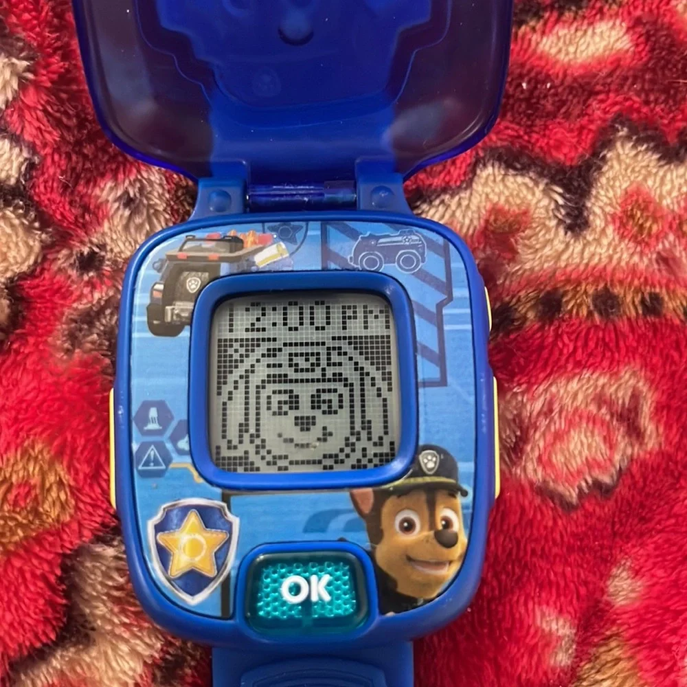 Paw Patrol questions leave