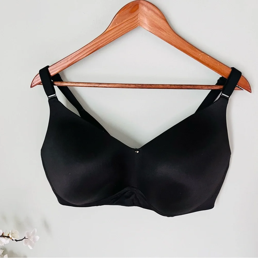 Lane Bryant maximum coverage