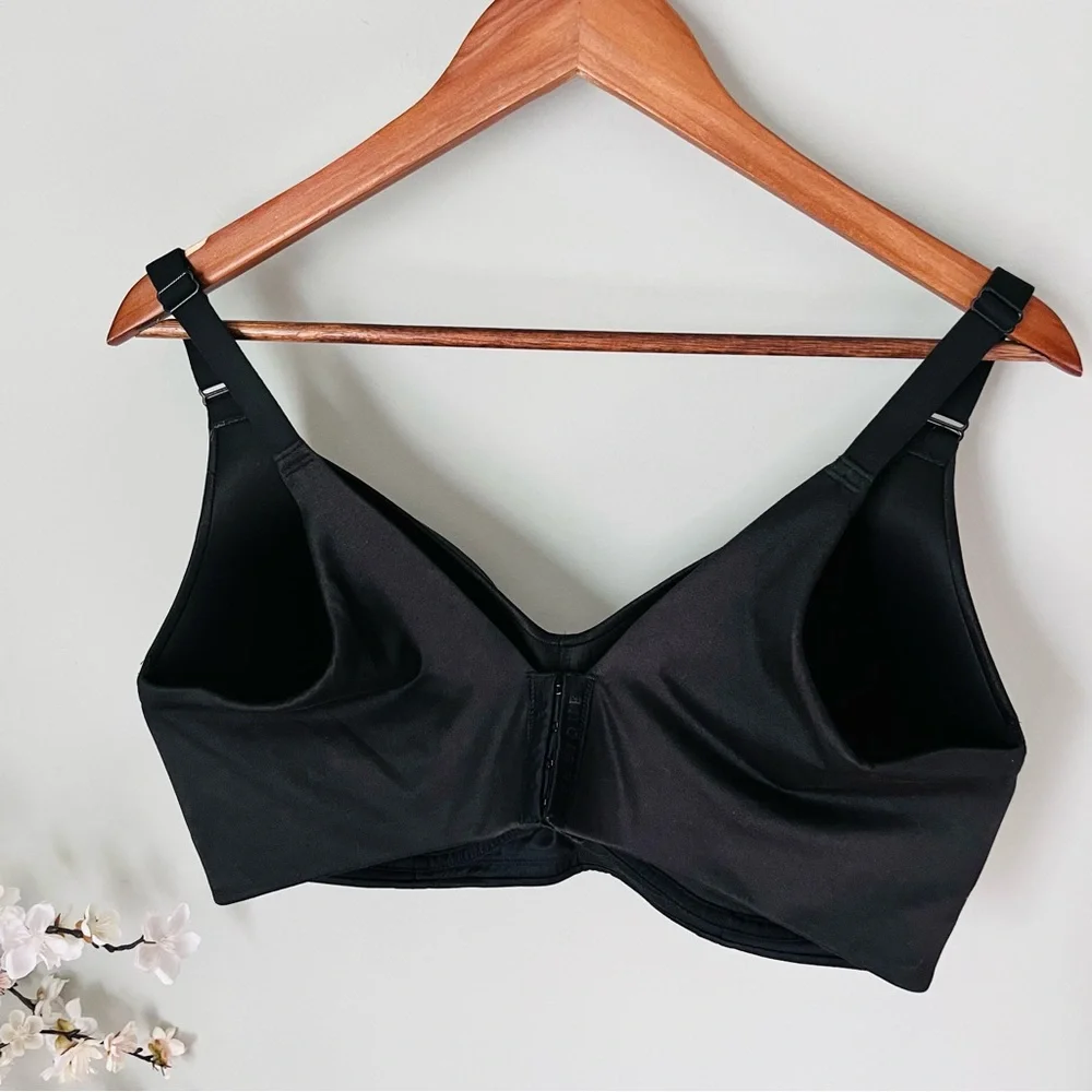Lane Bryant maximum coverage