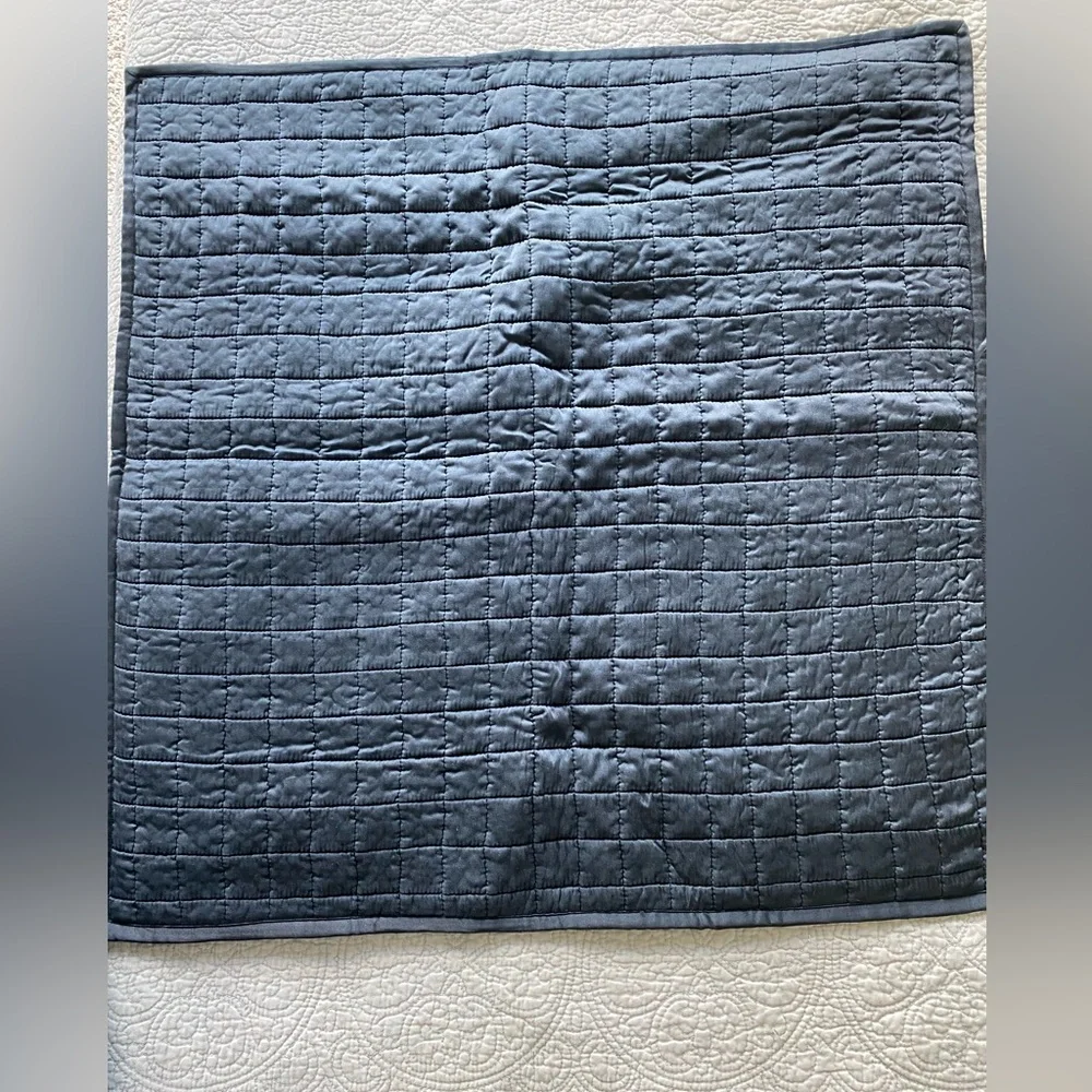 NWOT Restoration Hardware Silk Box-Stitched Large Pillow Cover 26” x 26”