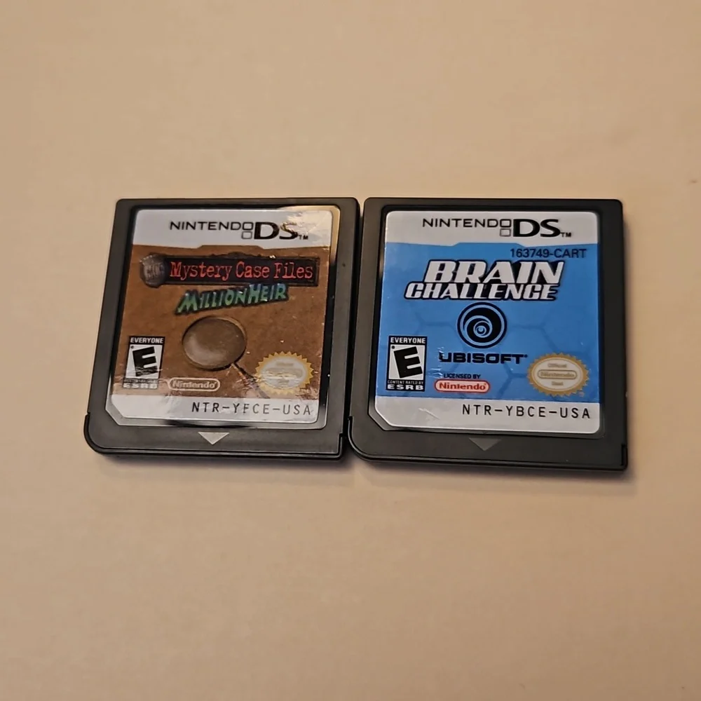 Nintendo ds brain