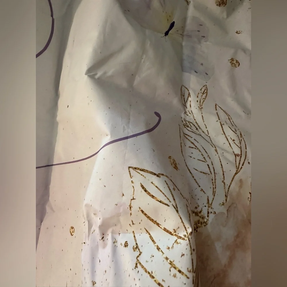 N/A butterfly backdrop