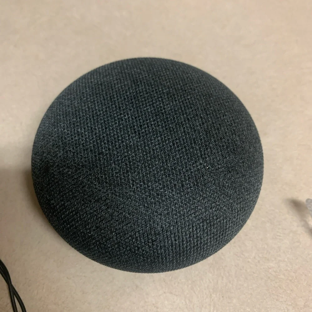 Alexa Google assistant