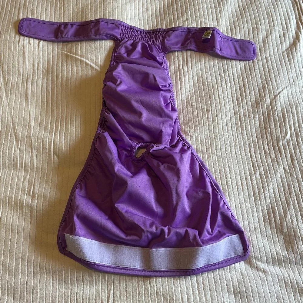 pet diapers large brand