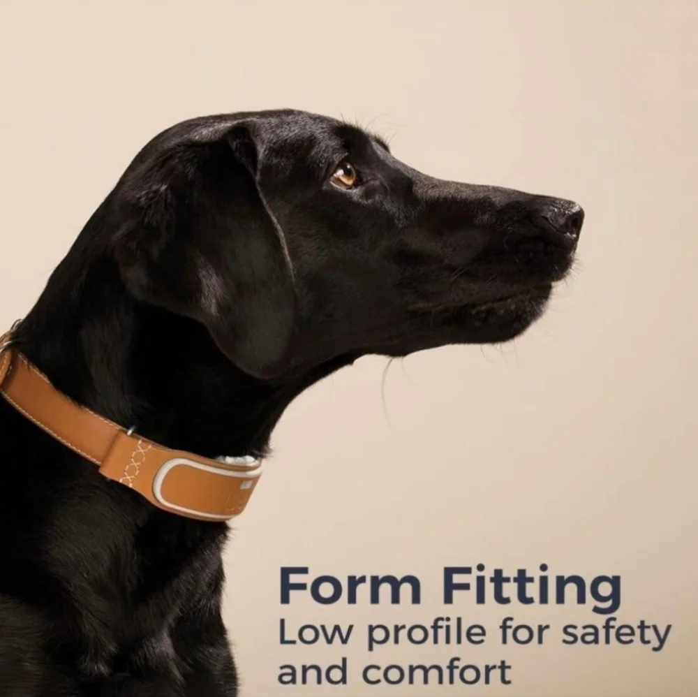 NEW OPENED BOX LINK AKC SMART DOG GPS COLLAR SMALL - 9 1/2