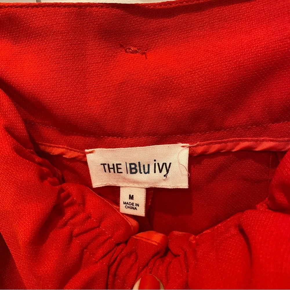 Blu Ivy new without