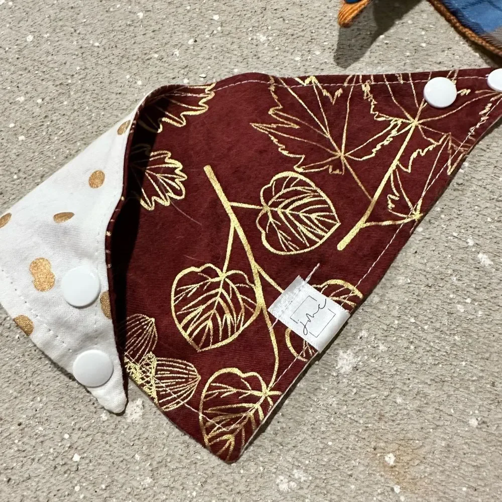 N/A cat bandanas