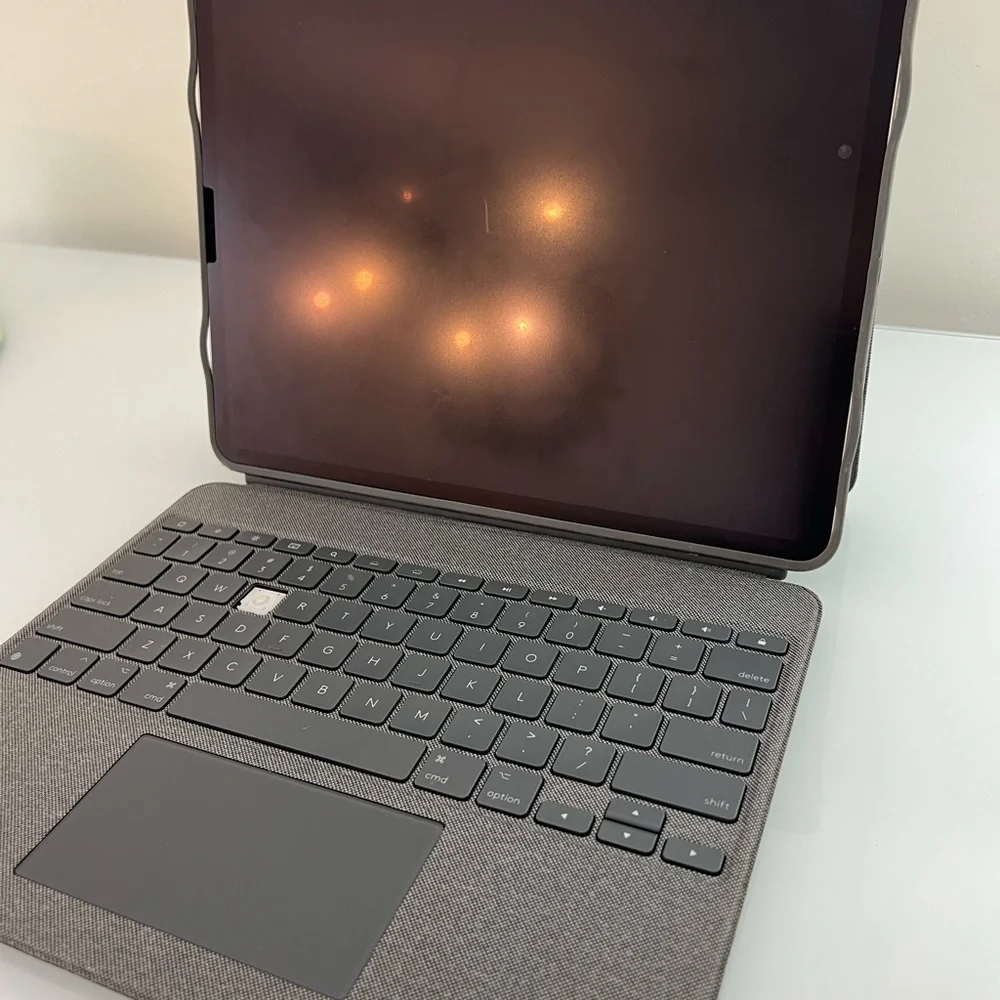 Apple excellent silver