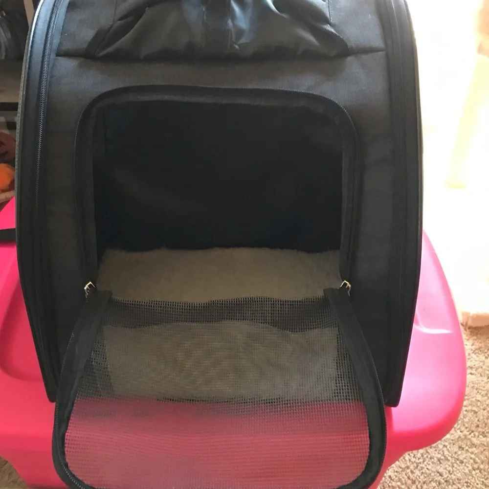 N/A cat backpack