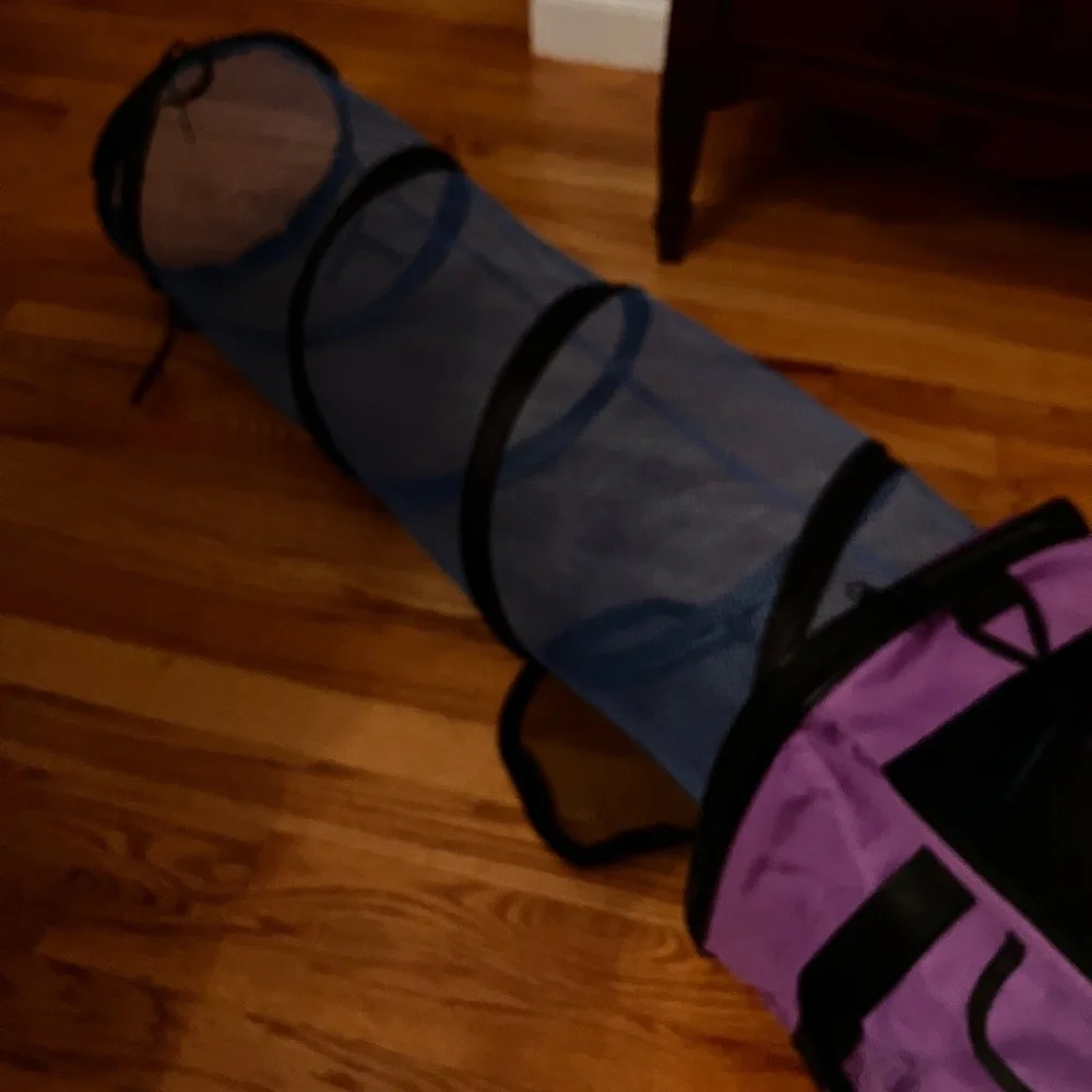 Jackson Galaxy base camp