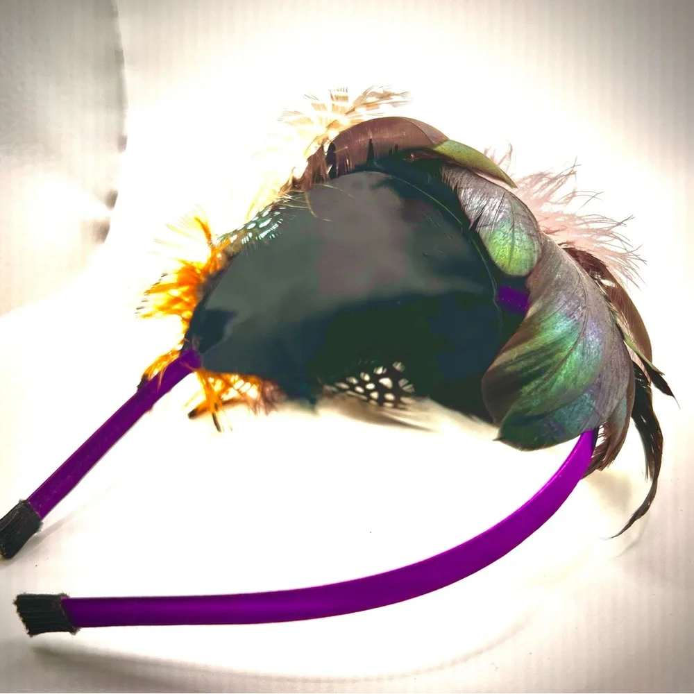 Beautiful Thin Headband Decorated w/Feathers & Crystals-Multicolored, Ne…