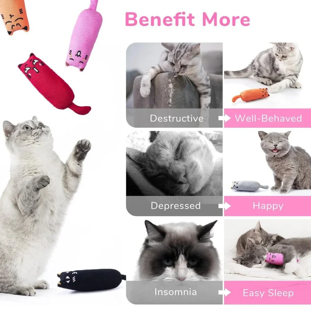 5-Pack Bite-Resistant Catnip Toys