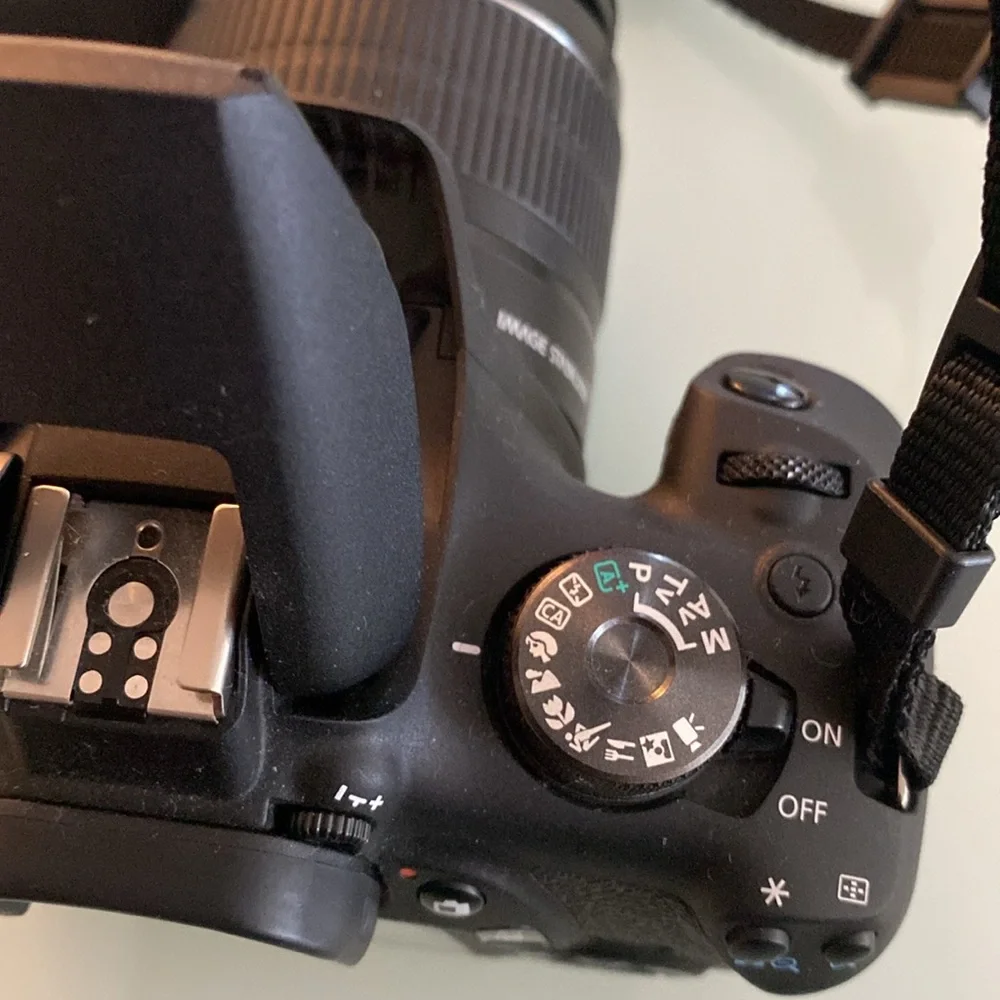 Canon may have