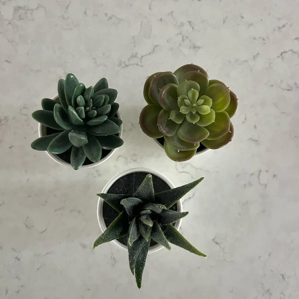 IKEA faux succulent