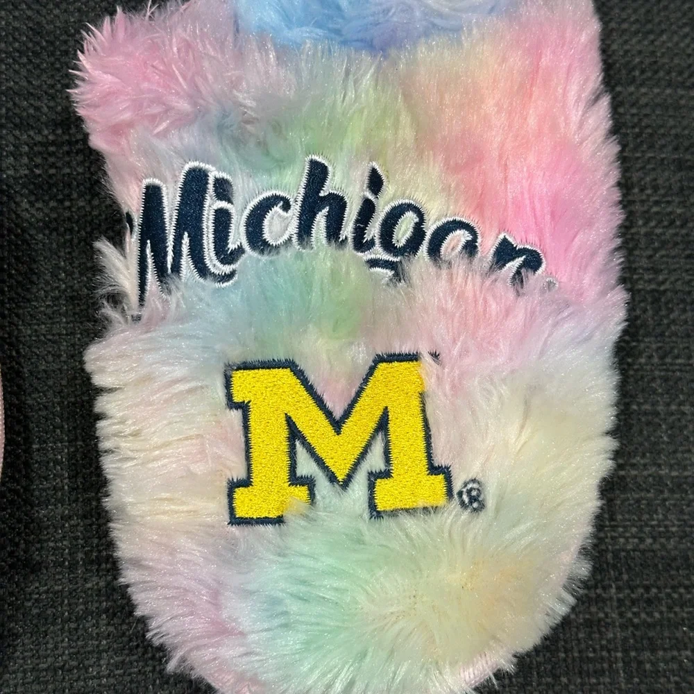 Michigan University Wolverines 5/6 L FOCO Youth Rainbow Slip On Slippers Slide