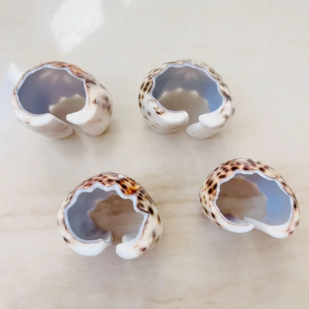 Tiger Cowrie Spotted Shell Napkin Rings Set Of 4 Coastal Beach Serving Table
