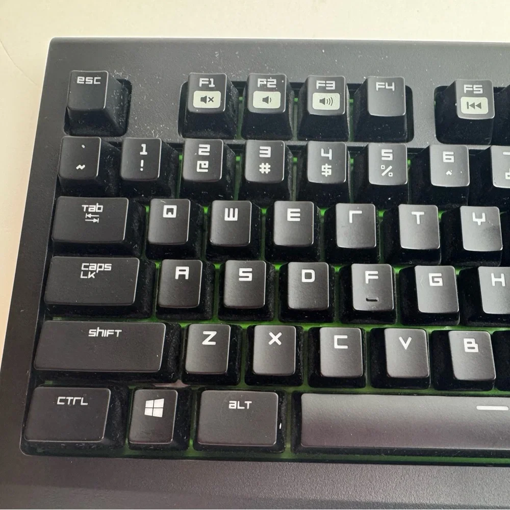 Razer brand model