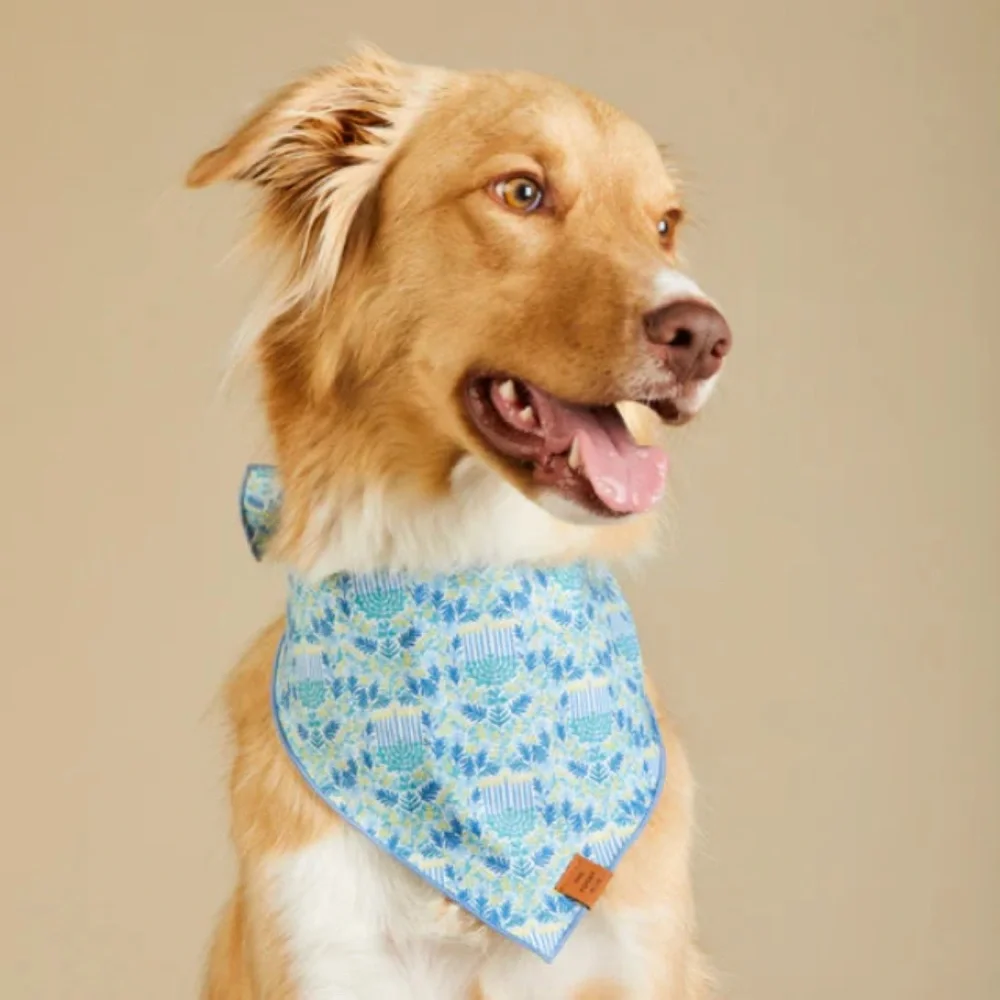 Dog Bandana by Foggy Dog - Flora Menorah Hanukkah
