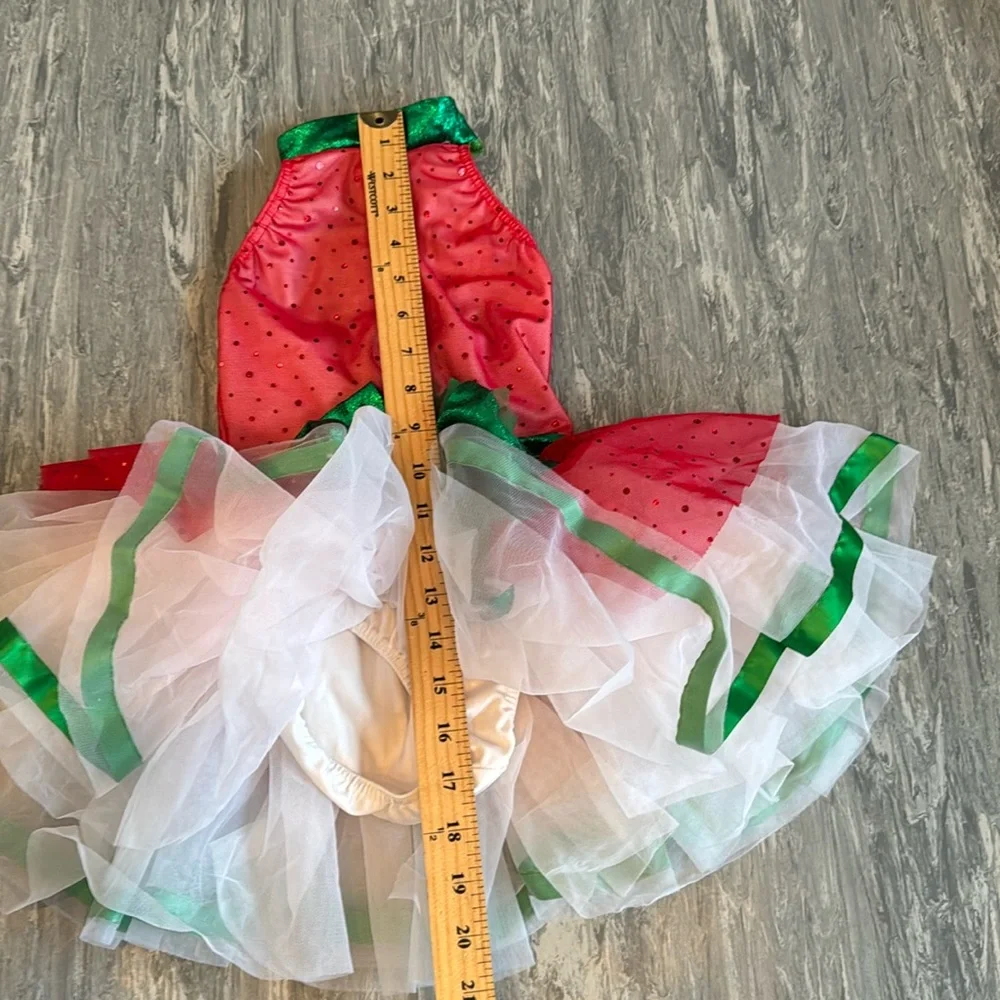 Cicci Dance Costume Leotard Tutu Ballet