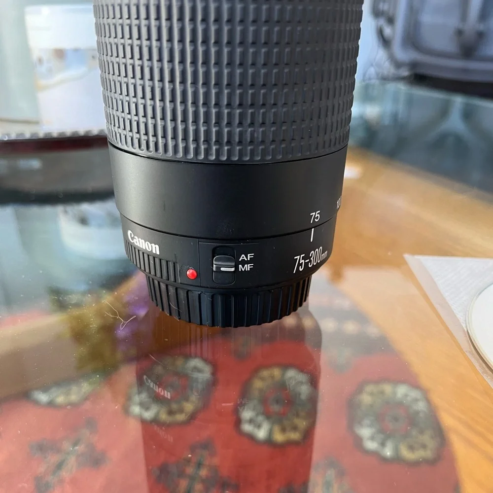 Canon zoom lens