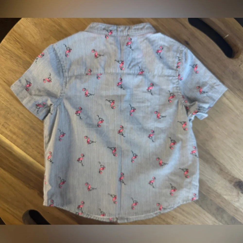 Primark size 12mo