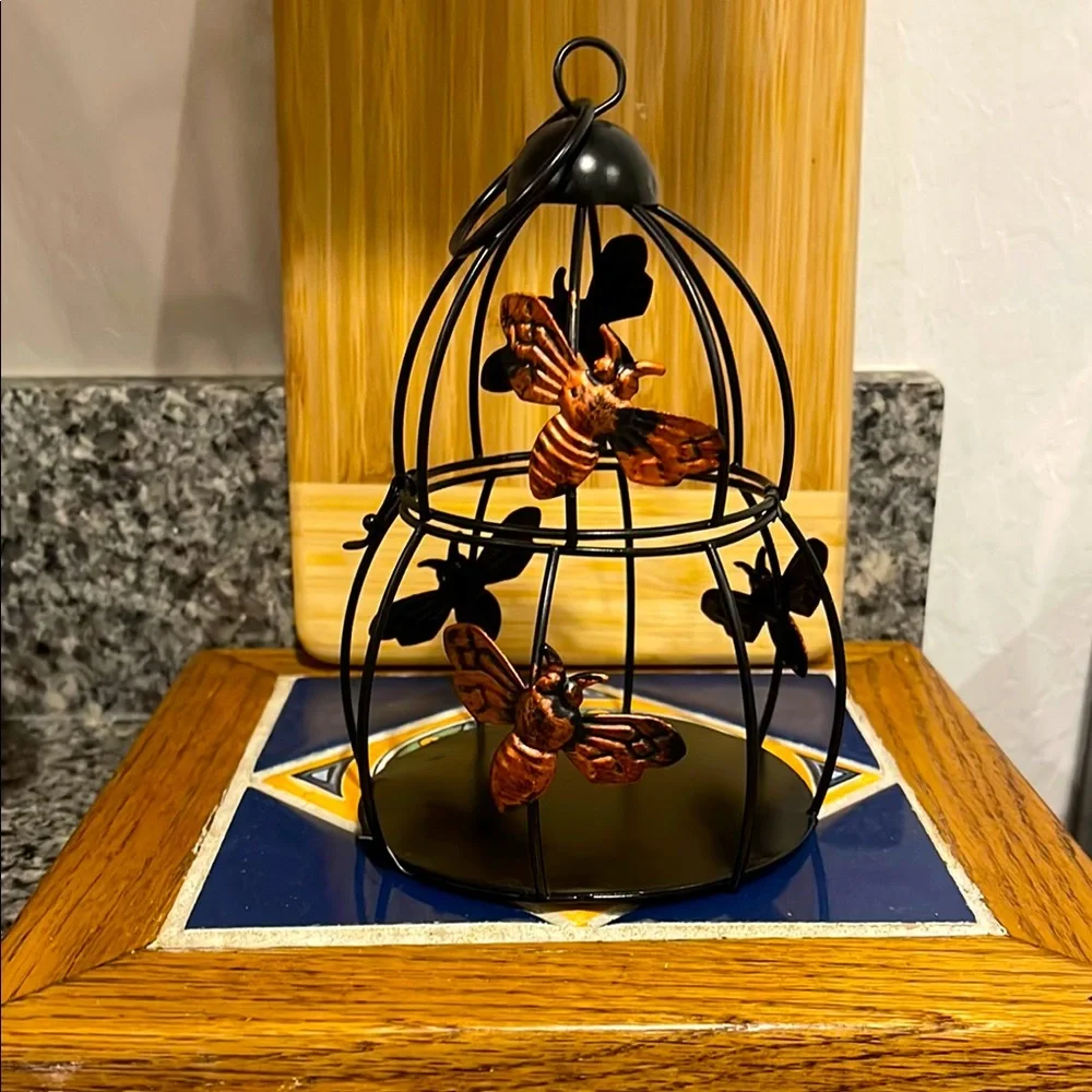 Decorative Black and Orange Bee 🐝 Cage