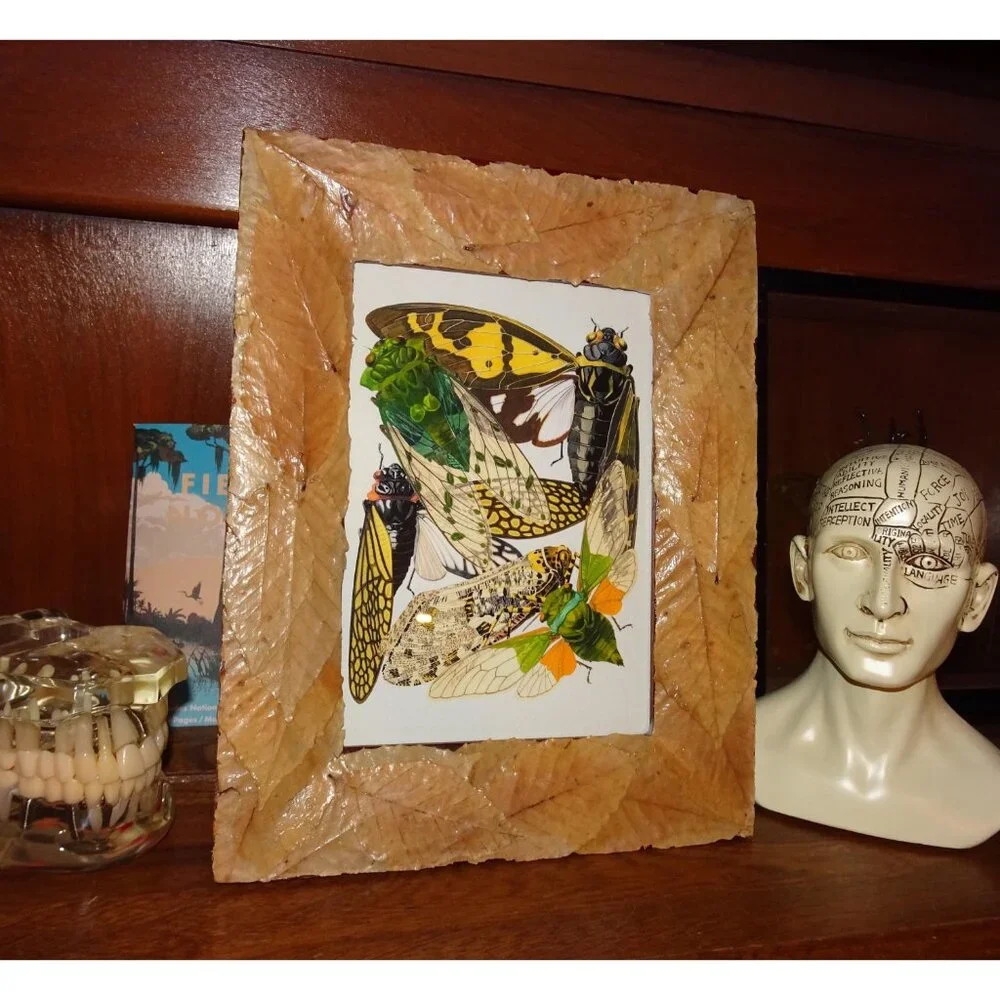 Vintage Art Print of Cicadas in Frame with Real Leaves goth witchy nature insect
