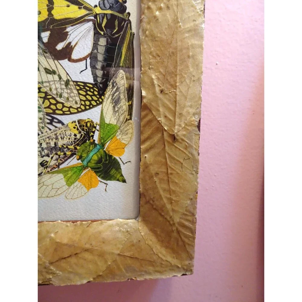 Vintage Art Print of Cicadas in Frame with Real Leaves goth witchy nature insect