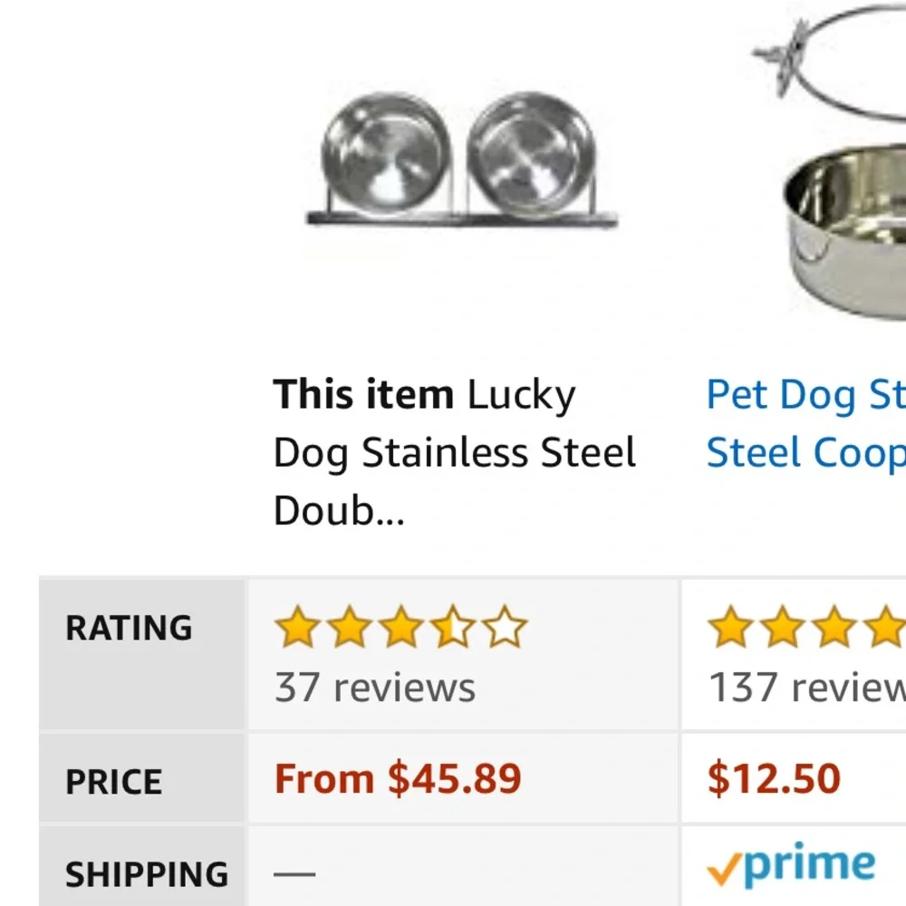 LUCKY DOG lucky dog