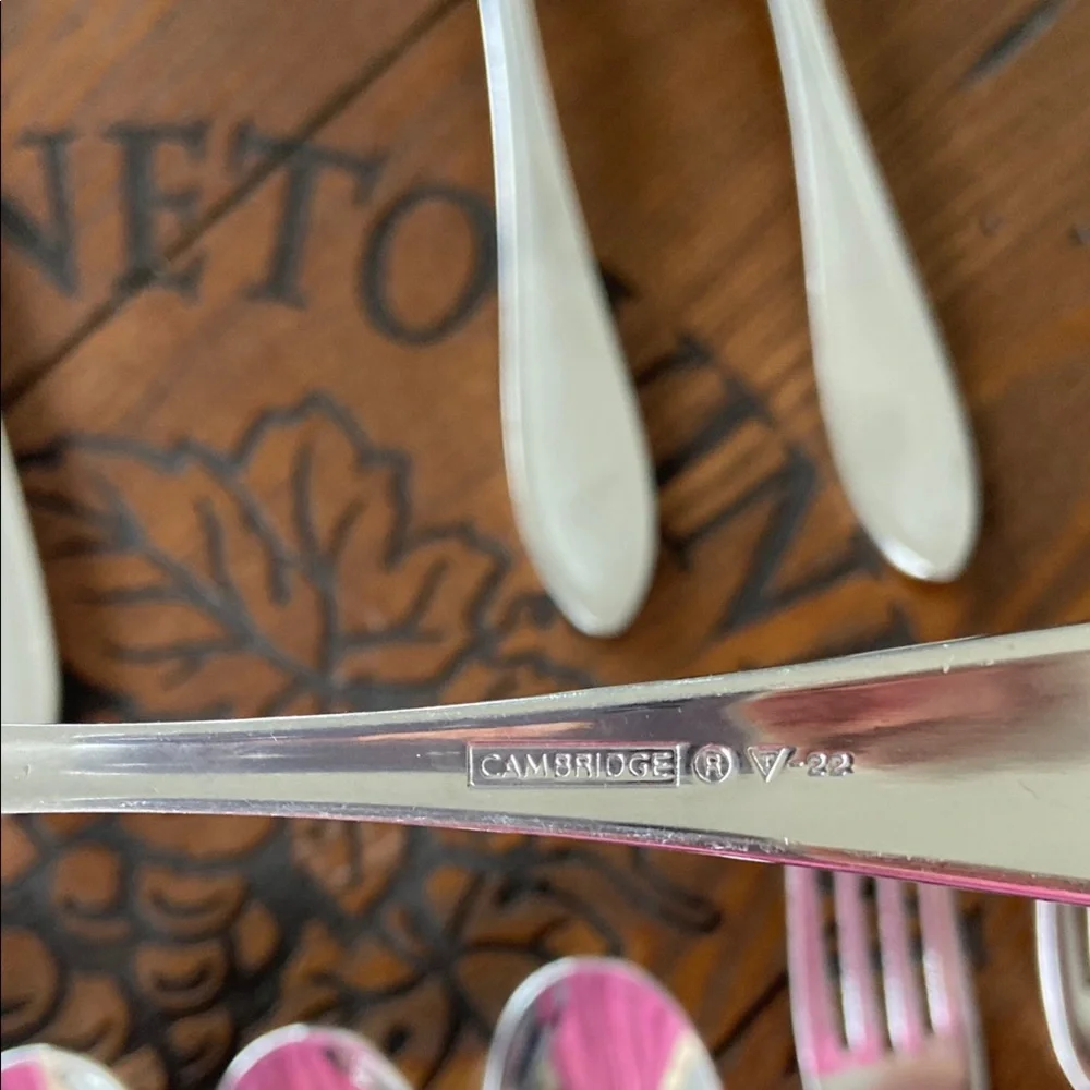 Cambridge Bayleaf Sand Flatware Set, Silver Cutlery Set 18 piece