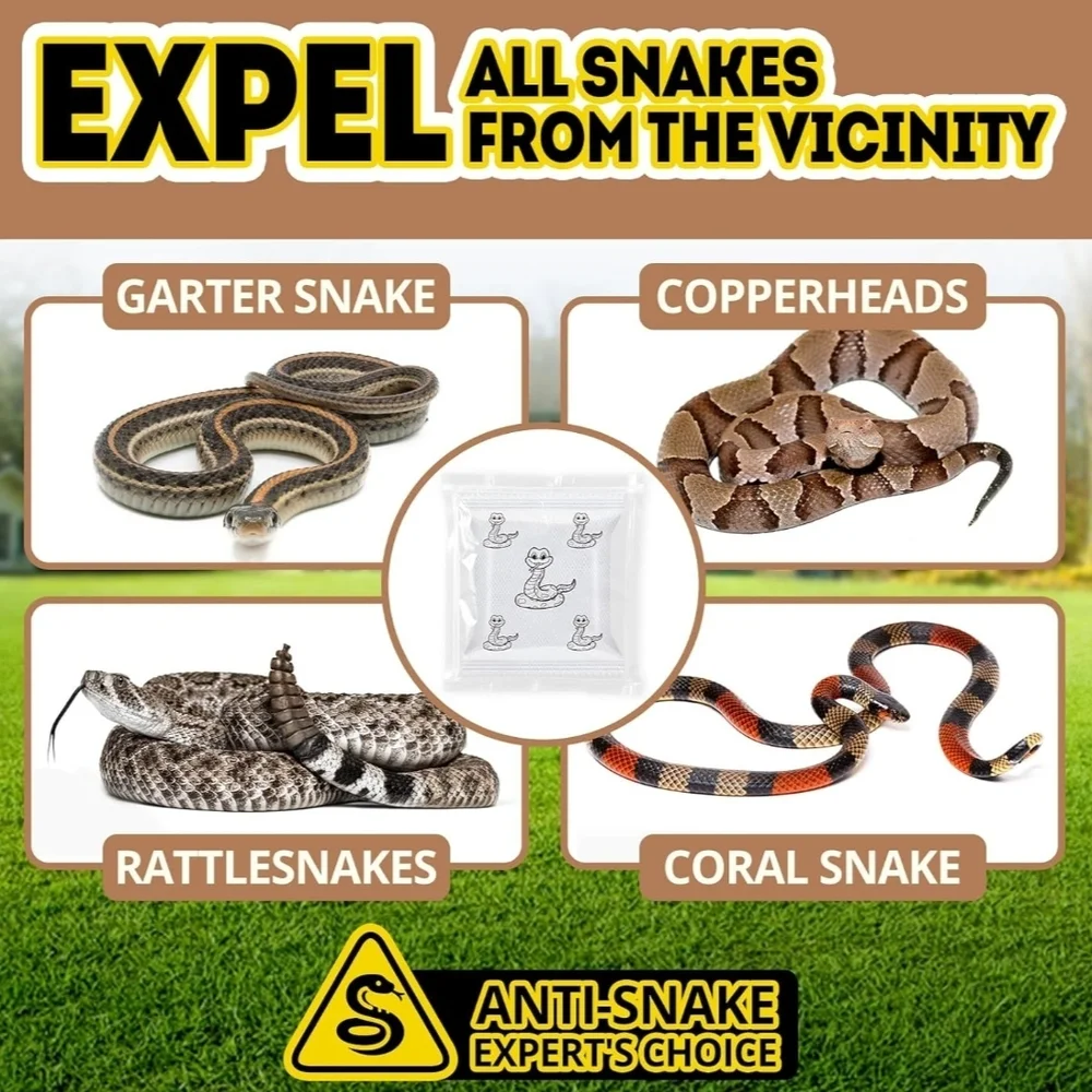 Brown Reptile Habitat Maintenance Essentials