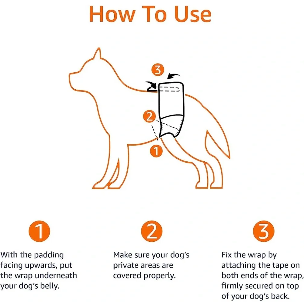 Amazon male dog