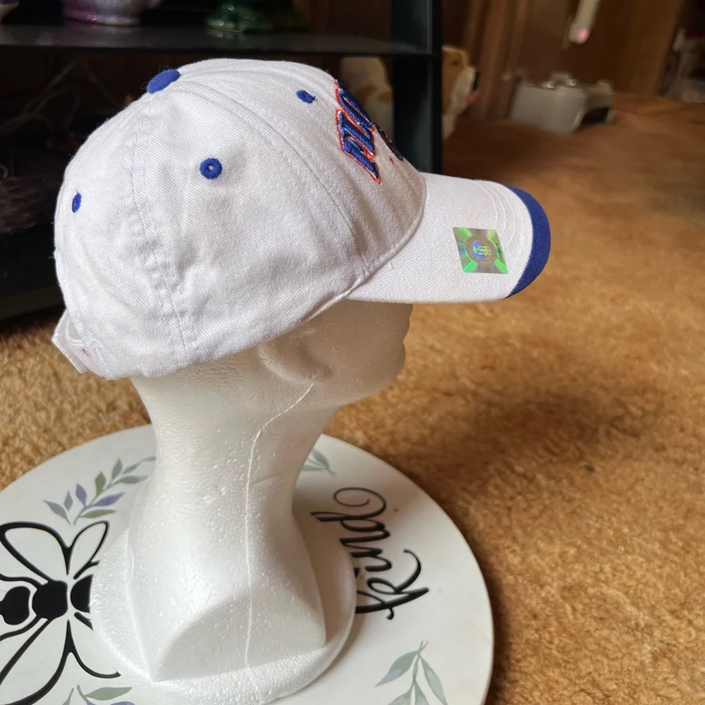 NCAA stylish florida