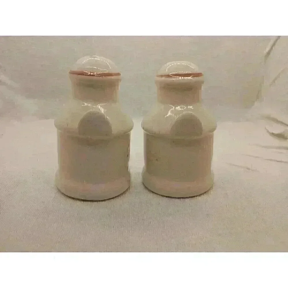 Souvenir Vtg North Carolina Salt And Pepper Shakers Collectable Home Decor