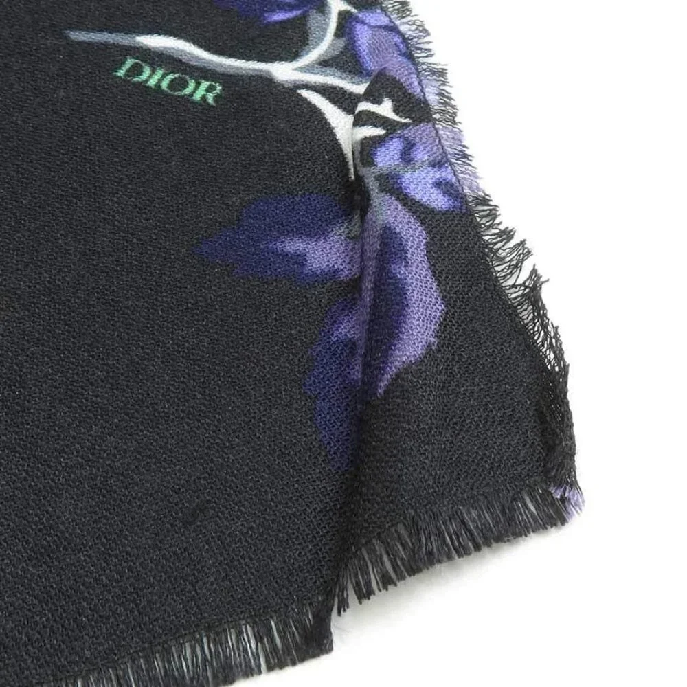 Dior rank outside