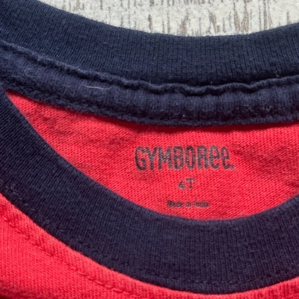Gymboree cute shirt