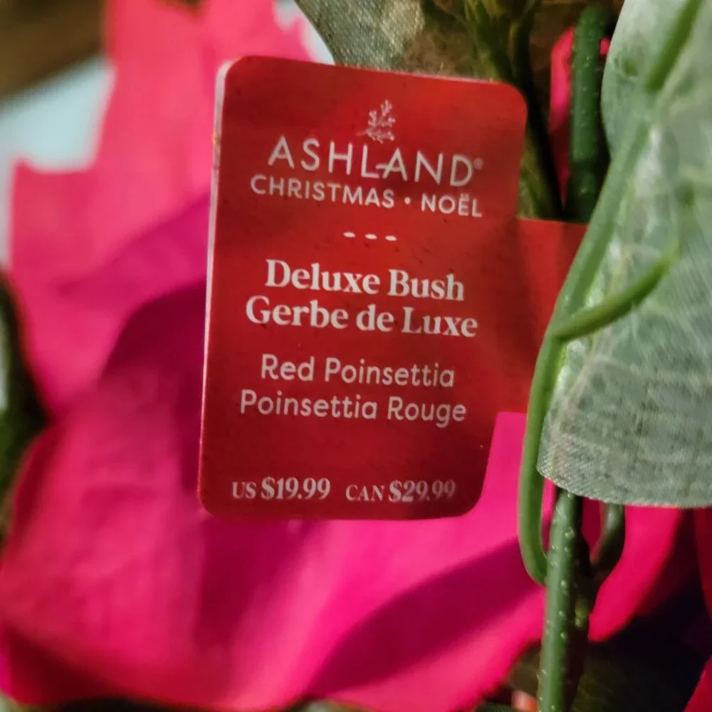 Ashland enhance your