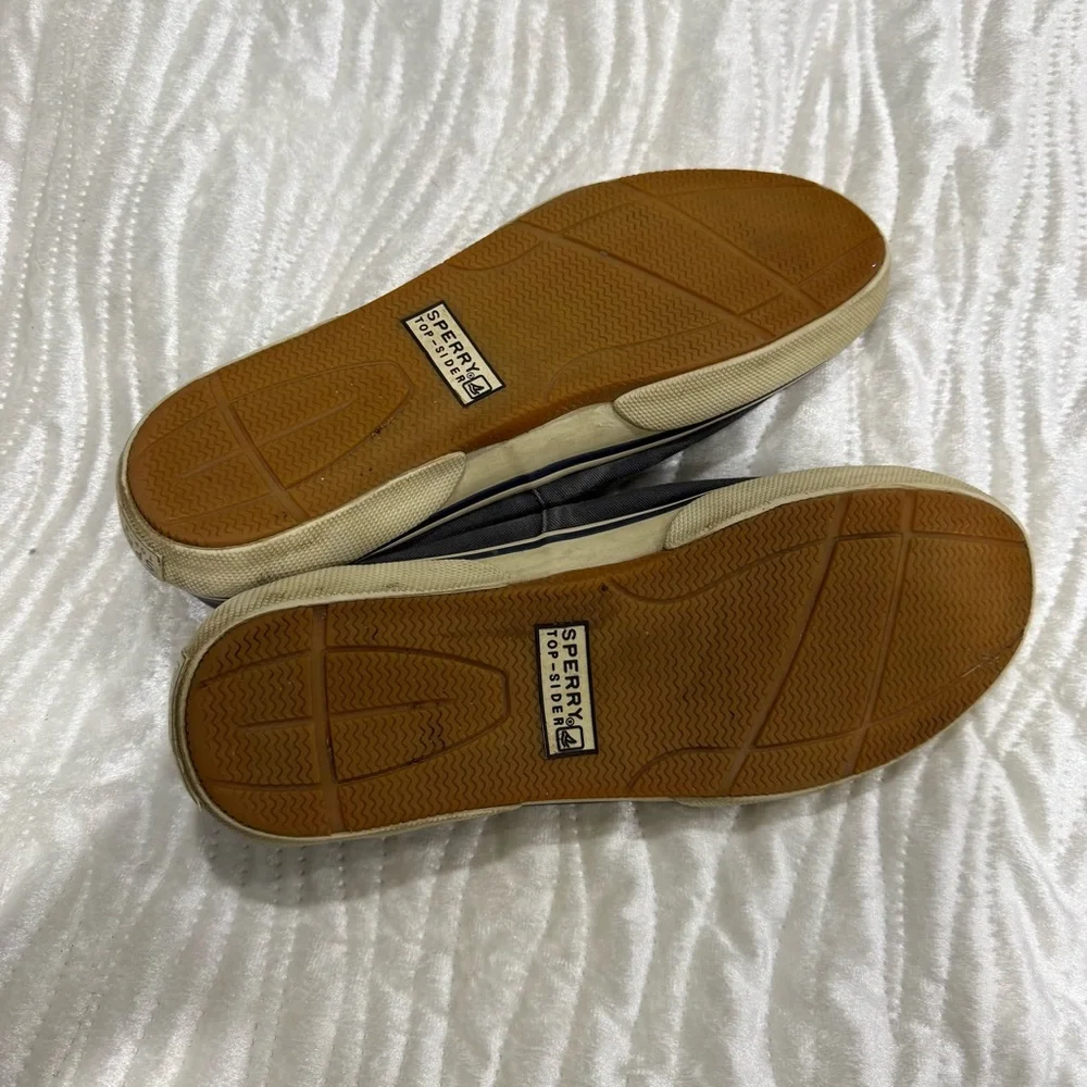 Sperry experience timeless