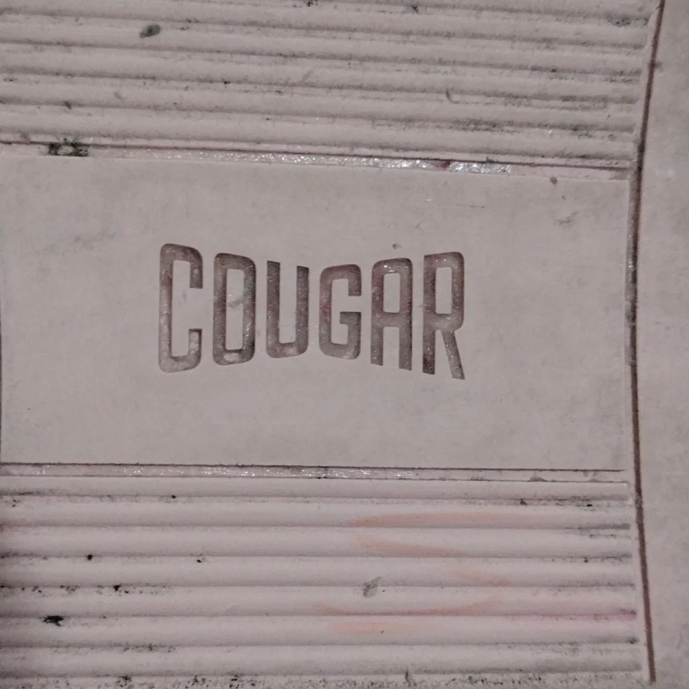 cougar women